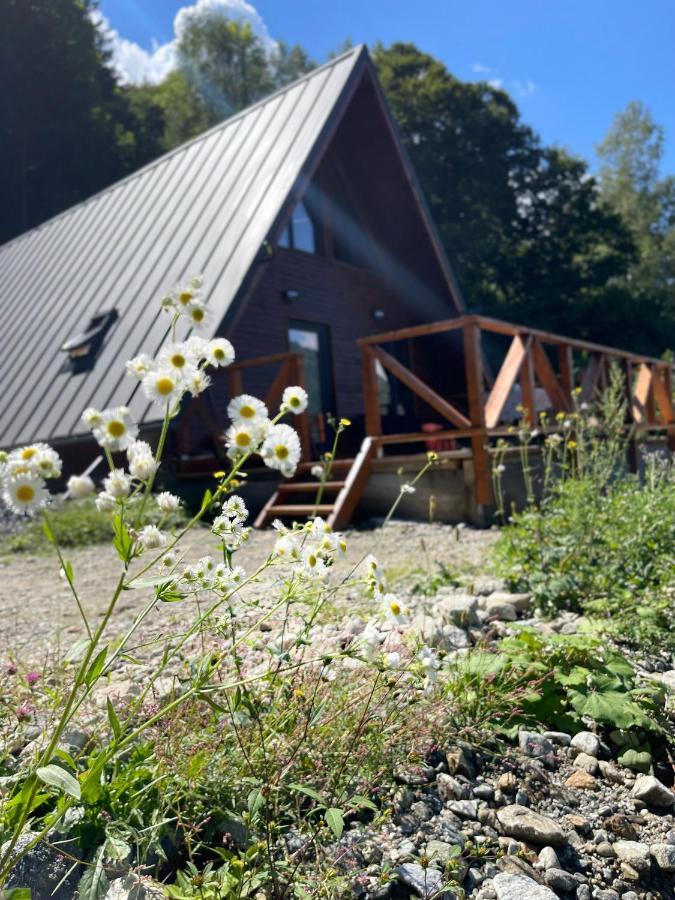 Wild Cabin Malaia Buitenkant foto